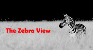 The Zebra View promo